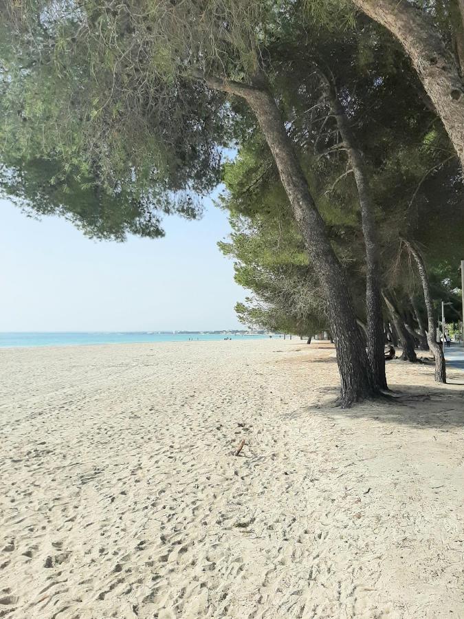 Beach Apartment Minerva Port de Alcudia  Eksteriør bilde